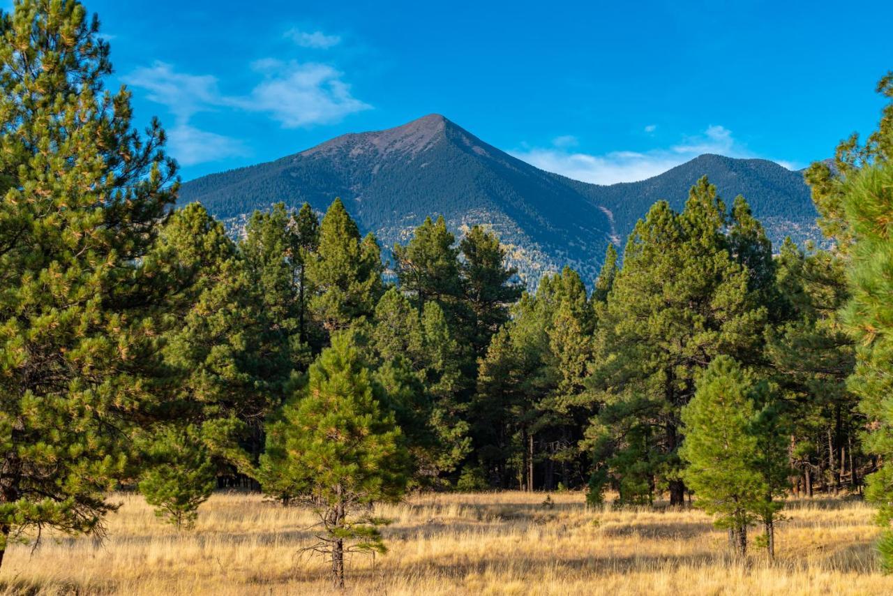 Mt. Elden Adventure Villa Flagstaff Exterior photo